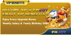 PHJOY VIP